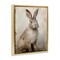 Stupell Industries Neutral Rabbit Portrait Floating Frame By Arlington Prints